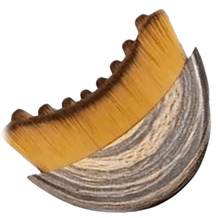 Nordic Glow Lymph Brush